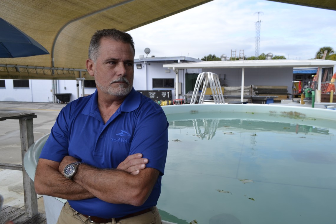 Pedro Ramos en Orlando Carlos Tomasini