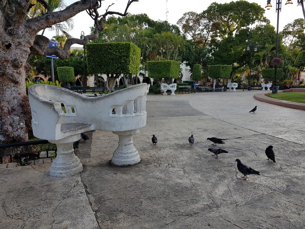 sillas-confidentes-merida-1-1024x768